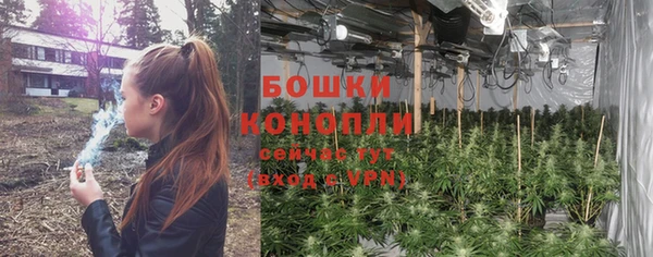 скорость Бородино