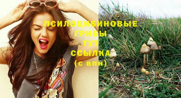 скорость Бородино
