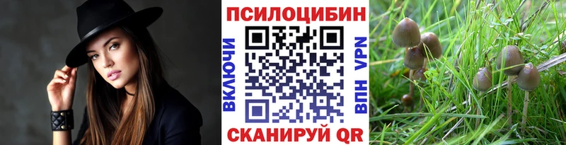 цена наркотик  shop состав  Галлюциногенные грибы прущие грибы  Семилуки 